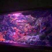 ヒメ日記 2025/11/26 20:01 投稿 まこ 茨城ちゃんこ土浦つくば店