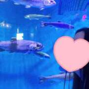 ヒメ日記 2025/11/28 13:01 投稿 まこ 茨城ちゃんこ土浦つくば店