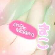 ヒメ日記 2025/12/08 13:07 投稿 まこ 茨城ちゃんこ土浦つくば店