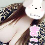 ヒメ日記 2025/12/14 16:57 投稿 まこ 茨城ちゃんこ土浦つくば店