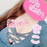 ヒメ日記 2025/12/16 13:20 投稿 まこ 茨城ちゃんこ土浦つくば店