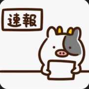 ヒメ日記 2026/10/12 12:47 投稿 まこ 茨城ちゃんこ土浦つくば店