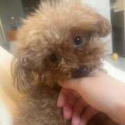 ヒメ日記 2026/01/25 19:38 投稿 ゆあ【Ｊカップって最強！】 ソープランド看護学院ディエックス