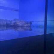 ヒメ日記 2025/09/15 11:02 投稿 なぎさ おいらん(池袋)