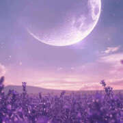 ヒメ日記 2025/12/09 10:13 投稿 りあ アドミsince2002立川デリヘル&Go To FANTASY東京本店