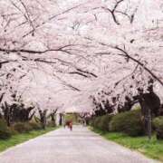 ヒメ日記 2026/03/31 22:32 投稿 りあ アドミsince2002立川デリヘル&Go To FANTASY東京本店