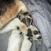 ヒメ日記 2026/02/27 10:02 投稿 テンテン 鬼イカセてくれないドス◯ベお姉さん