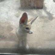 ヒメ日記 2025/10/23 10:59 投稿 みら エデンR