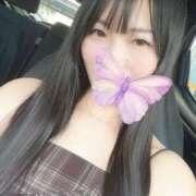 ヒメ日記 2025/09/14 16:42 投稿 麗羽/Reyha ジュリエット