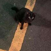 ヒメ日記 2025/09/17 10:00 投稿 麗羽/Reyha ジュリエット