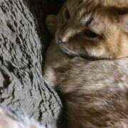 ヒメ日記 2025/09/21 01:51 投稿 麗羽/Reyha ジュリエット