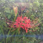 ヒメ日記 2025/09/22 09:08 投稿 鈴木茜(あかね) 東京不倫～とうきょうふりん～