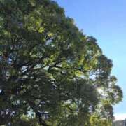 ヒメ日記 2026/04/05 08:48 投稿 鈴木茜(あかね) 東京不倫～とうきょうふりん～