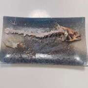 ヒメ日記 2025/09/10 21:26 投稿 ましろ奥様 川崎人妻ソープ Mint(ミント)