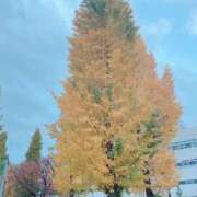 ヒメ日記 2025/11/23 06:34 投稿 ましろ奥様 川崎人妻ソープ Mint(ミント)