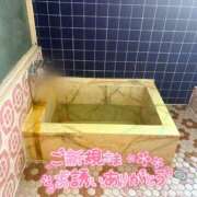 ヒメ日記 2025/10/27 16:38 投稿 えあり モアグループ宇都宮人妻花壇