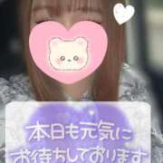 ヒメ日記 2025/11/23 16:40 投稿 えあり モアグループ宇都宮人妻花壇