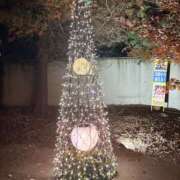 ヒメ日記 2025/12/01 17:36 投稿 えあり モアグループ宇都宮人妻花壇