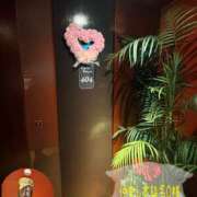 ヒメ日記 2026/03/02 17:01 投稿 えあり モアグループ宇都宮人妻花壇