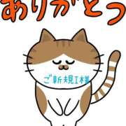 ヒメ日記 2026/04/08 08:41 投稿 えあり モアグループ宇都宮人妻花壇