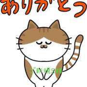 ヒメ日記 2026/04/11 09:13 投稿 えあり モアグループ宇都宮人妻花壇