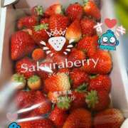 えあり なんでこんなに美味しいの🍓 モアグループ宇都宮人妻花壇
