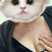 ヒメ日記 2025/09/30 12:55 投稿 桜田あげは DEEPS成田店