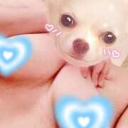 ヒメ日記 2025/10/16 10:25 投稿 桜田あげは DEEPS成田店