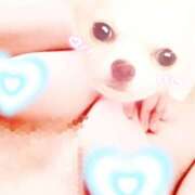 ヒメ日記 2025/10/28 09:25 投稿 桜田あげは DEEPS成田店