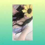 ヒメ日記 2025/09/13 05:47 投稿 リア(姫) 奥様幕府