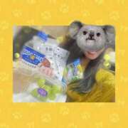 ヒメ日記 2025/09/13 22:17 投稿 リア(姫) 奥様幕府