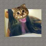 ヒメ日記 2025/09/23 23:57 投稿 リア(姫) 奥様幕府