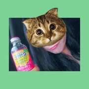 ヒメ日記 2025/09/24 17:37 投稿 リア(姫) 奥様幕府