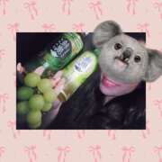 ヒメ日記 2025/09/24 19:57 投稿 リア(姫) 奥様幕府