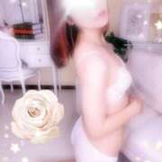 ヒメ日記 2025/11/13 10:20 投稿 ももか 川崎・東横人妻城