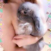 ヒメ日記 2026/01/03 21:30 投稿 ももか 川崎・東横人妻城