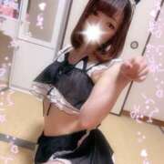 ヒメ日記 2026/01/31 17:04 投稿 ももか 川崎・東横人妻城