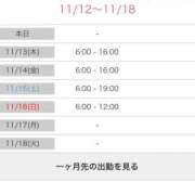 ヒメ日記 2025/11/12 16:38 投稿 うる 池袋マリン別館