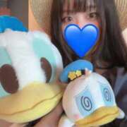 ヒメ日記 2025/09/20 17:38 投稿 ムギ 千葉美女革命