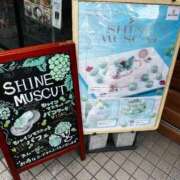 ヒメ日記 2025/10/12 13:49 投稿 ムギ 千葉美女革命