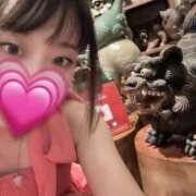 ヒメ日記 2025/10/14 12:51 投稿 ムギ 千葉美女革命