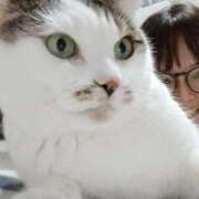 まゆみ 急遽！！ 池袋人妻城