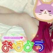 ヒメ日記 2025/10/03 07:03 投稿 リオ 池袋角海老