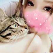 ヒメ日記 2025/12/08 12:15 投稿 リオ 池袋角海老