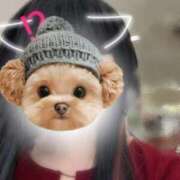 ヒメ日記 2025/10/17 13:20 投稿 らい メンズエステ・VIVIANA♀HAND高松店