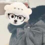 ヒメ日記 2025/11/04 00:50 投稿 らい メンズエステ・VIVIANA♀HAND高松店