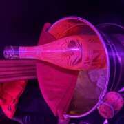 ヒメ日記 2026/01/12 01:40 投稿 ここ みつばちマーヤZ