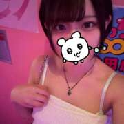 ヒメ日記 2026/03/10 01:21 投稿 ひなた みつばちマーヤZ