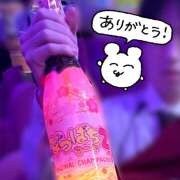 ヒメ日記 2026/03/19 01:18 投稿 ひなた みつばちマーヤZ