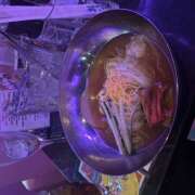 ひなた たいきん！ みつばちマーヤZ